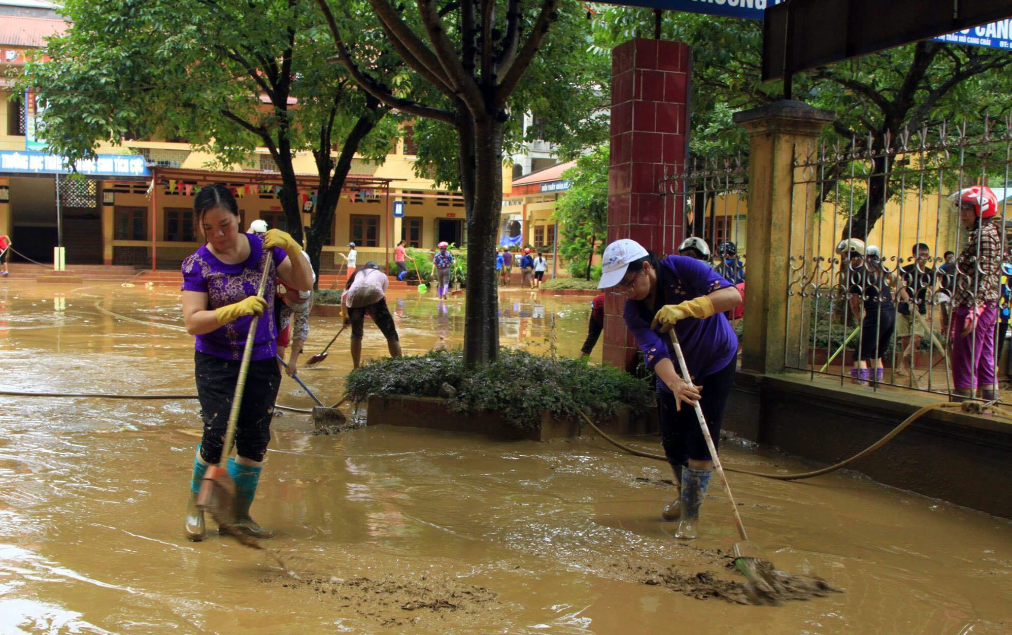 don dep sau mua lu anh 5