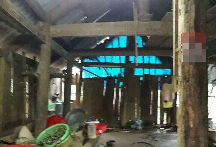 me ep con treo co anh 1