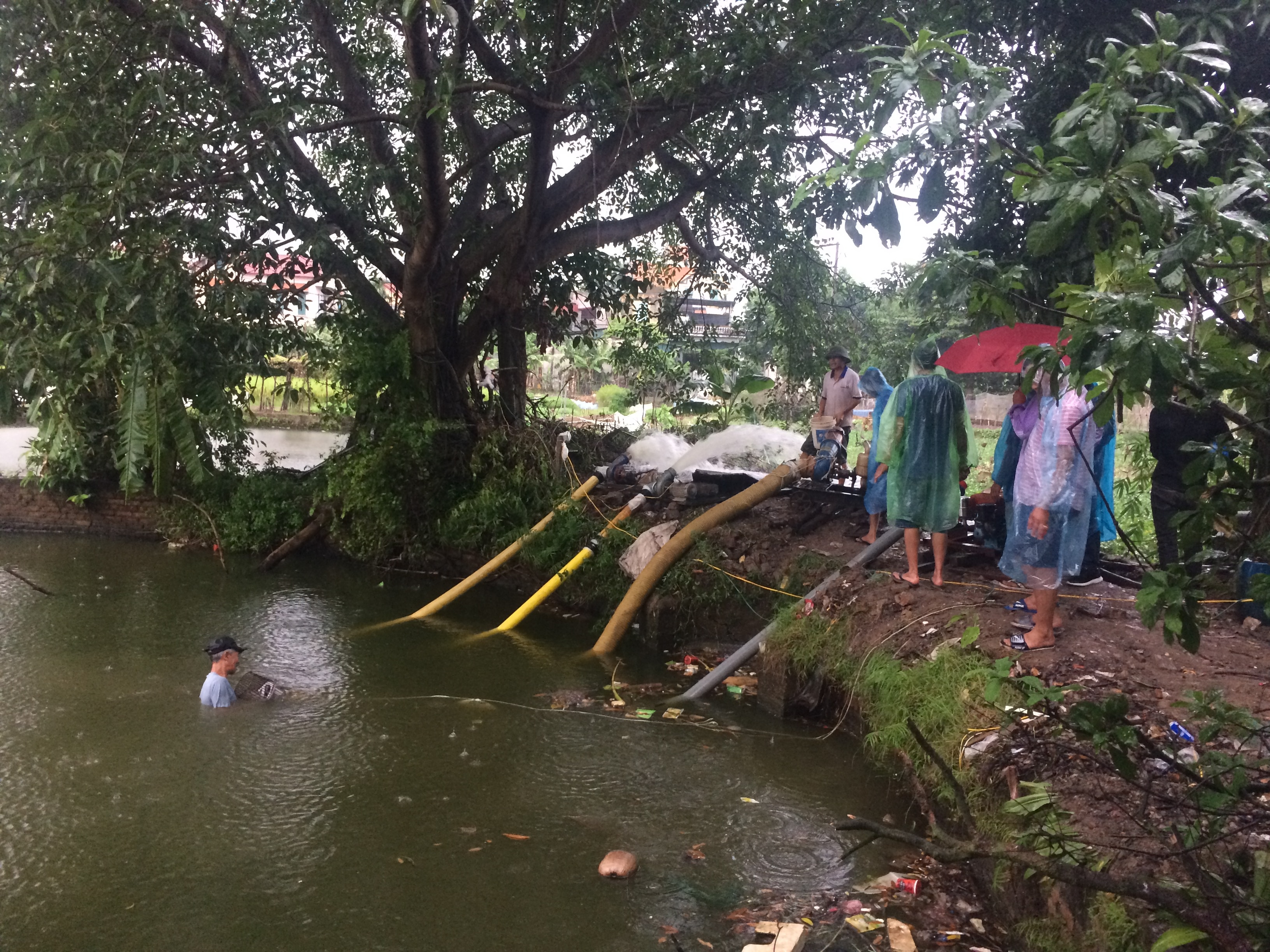 4 may bom hut nuoc tim tang vat vu sat hai nu chu nhiem HTX hinh anh