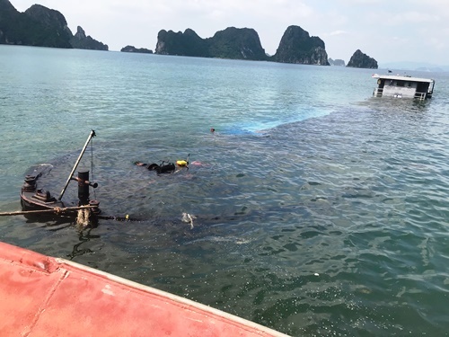 Sa lan cho hon 1.300 tan than chim tren bien Quang Ninh hinh anh