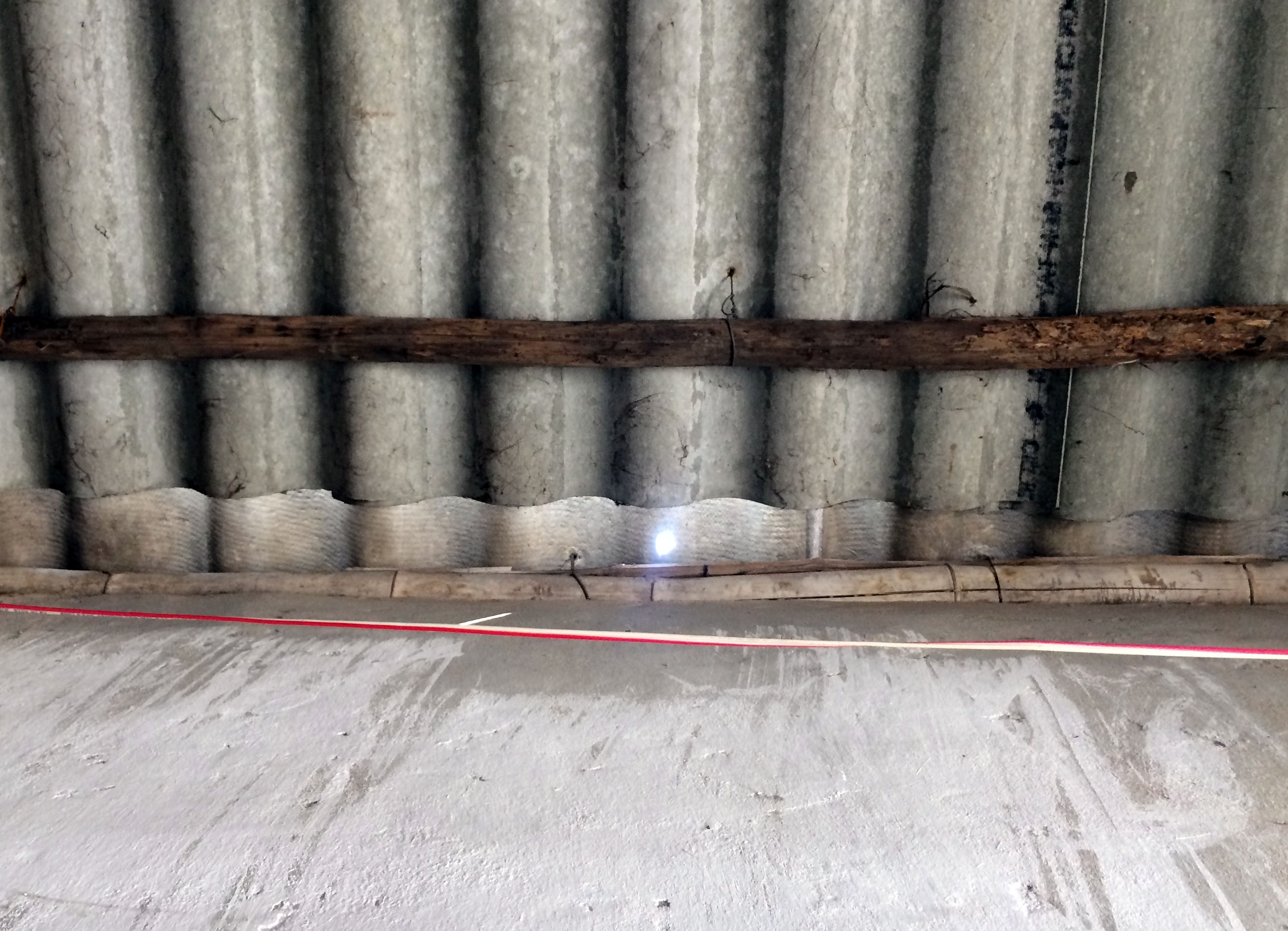 dan lac gam trung co anh 2