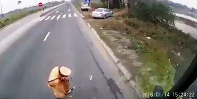 CSGT giam len vat nghi tien: Khong du can cu xac dinh nhan mai lo hinh anh