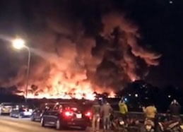 chay cong ty cay xanh anh 1