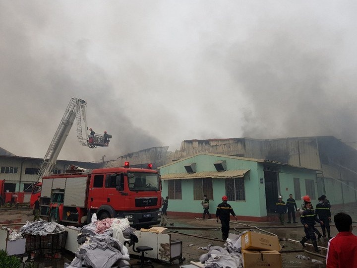 chay cong ty may anh 2