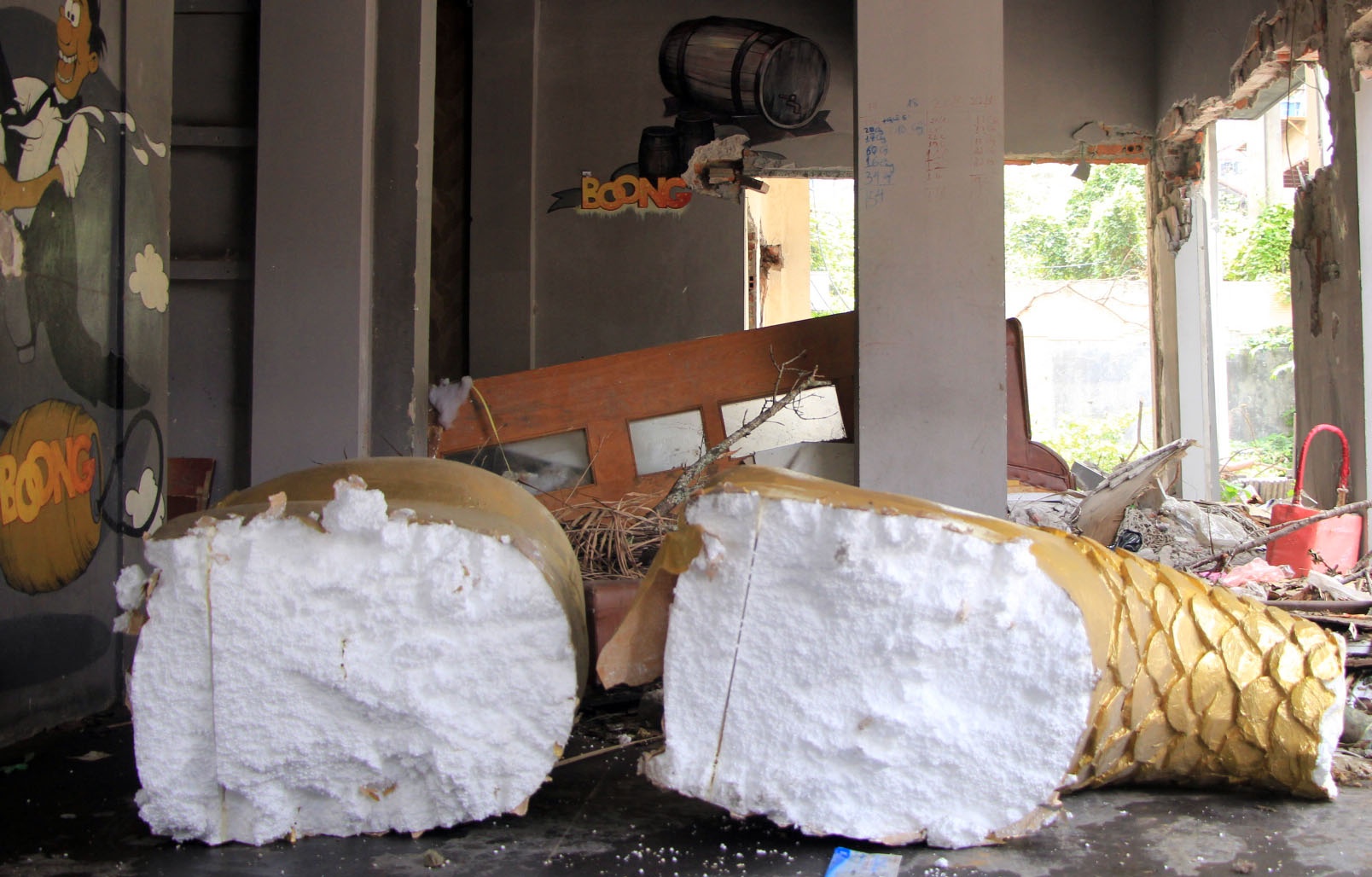 rac trong chung cu mat pho anh 11