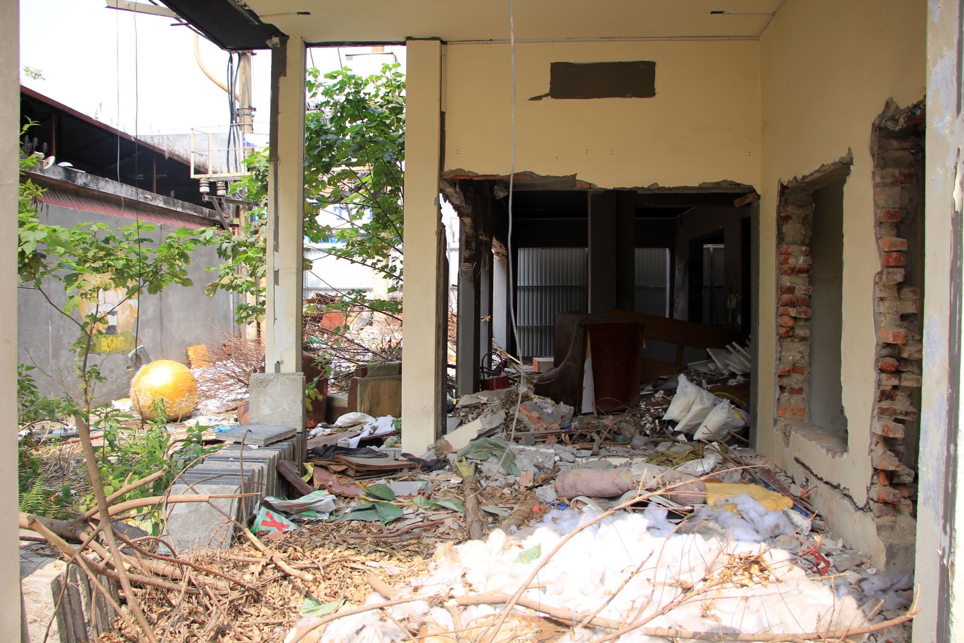 rac trong chung cu mat pho anh 3