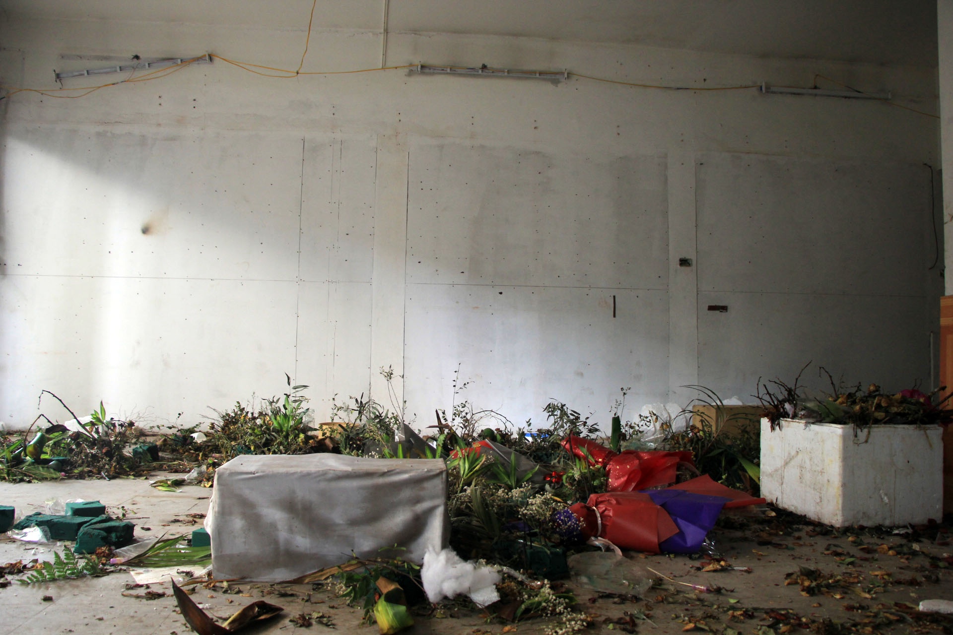 rac trong chung cu mat pho anh 6