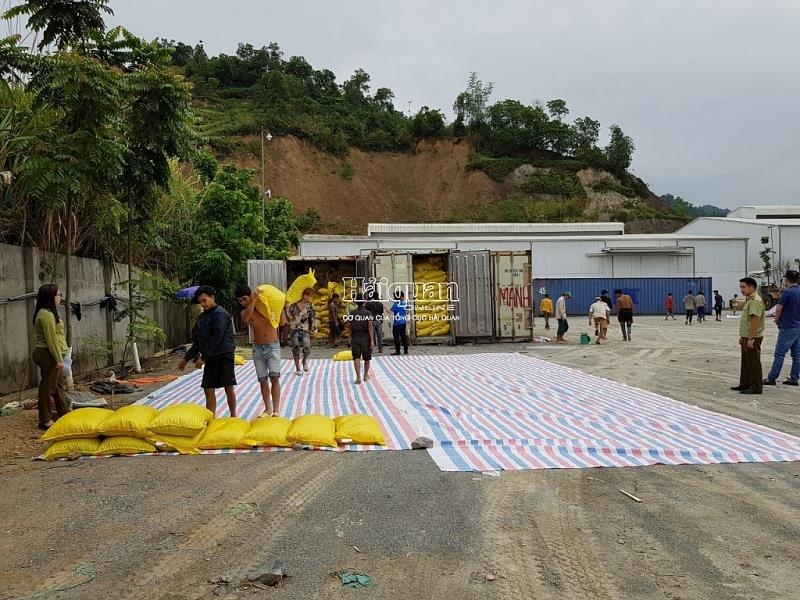 Phat hien hon 440 tan hat de co dau hieu tham lau tai Lao Cai hinh anh