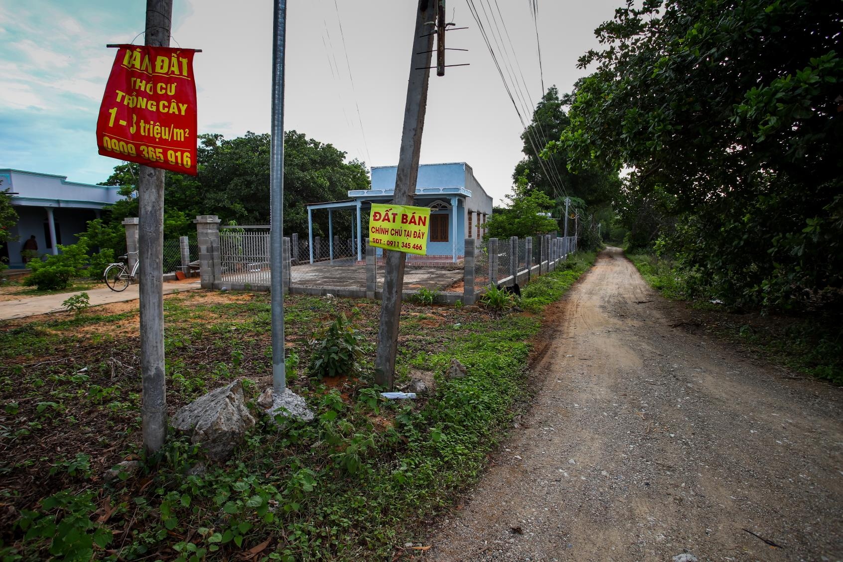 sot dat Phan Thiet anh 7