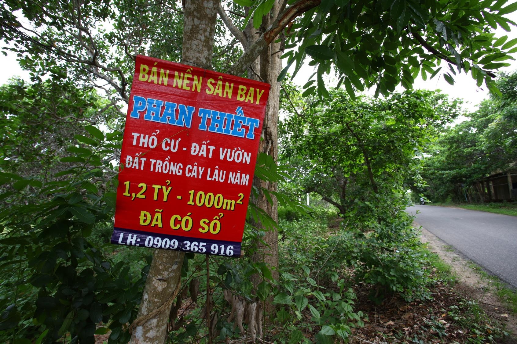 sot dat Phan Thiet anh 8