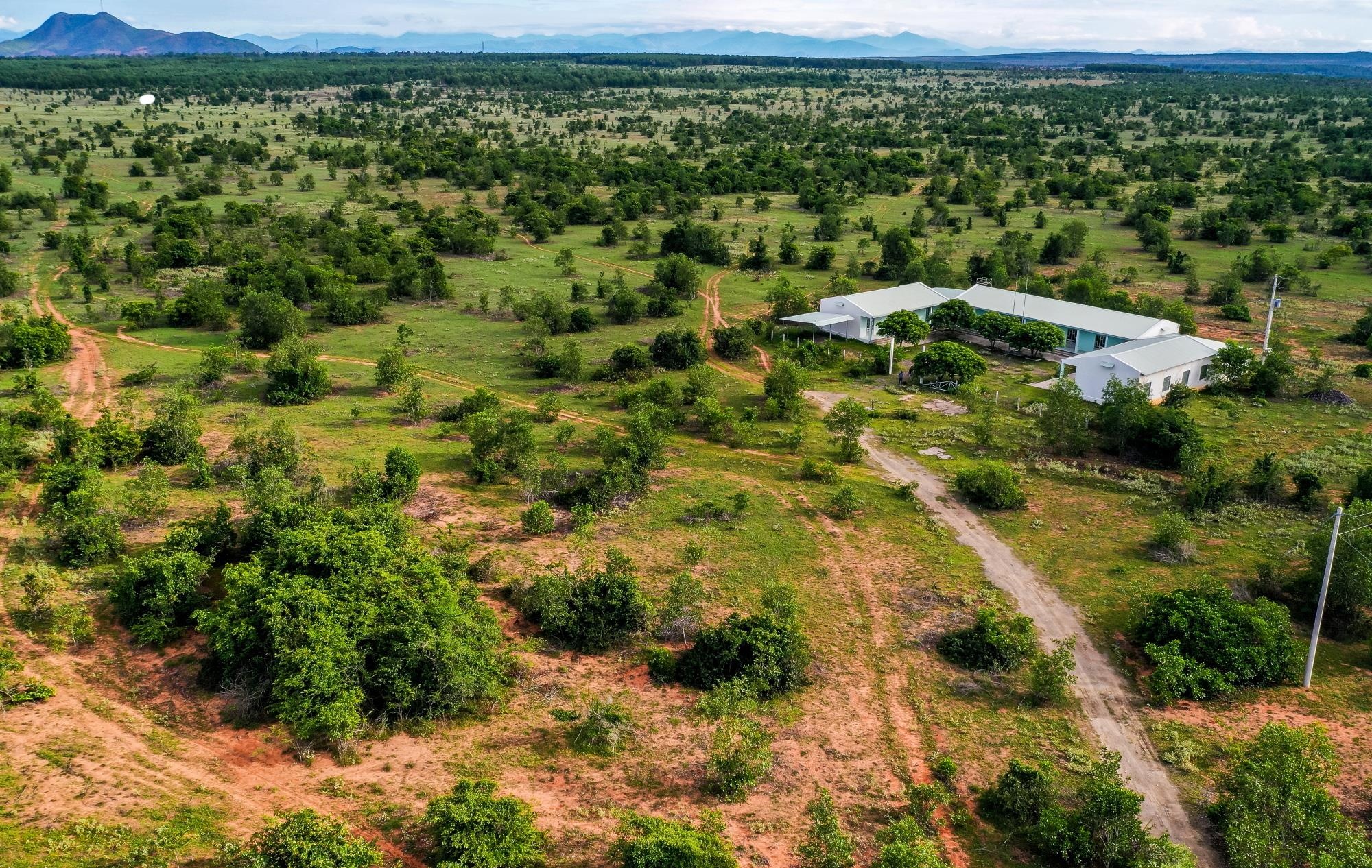 sot dat Phan Thiet anh 1