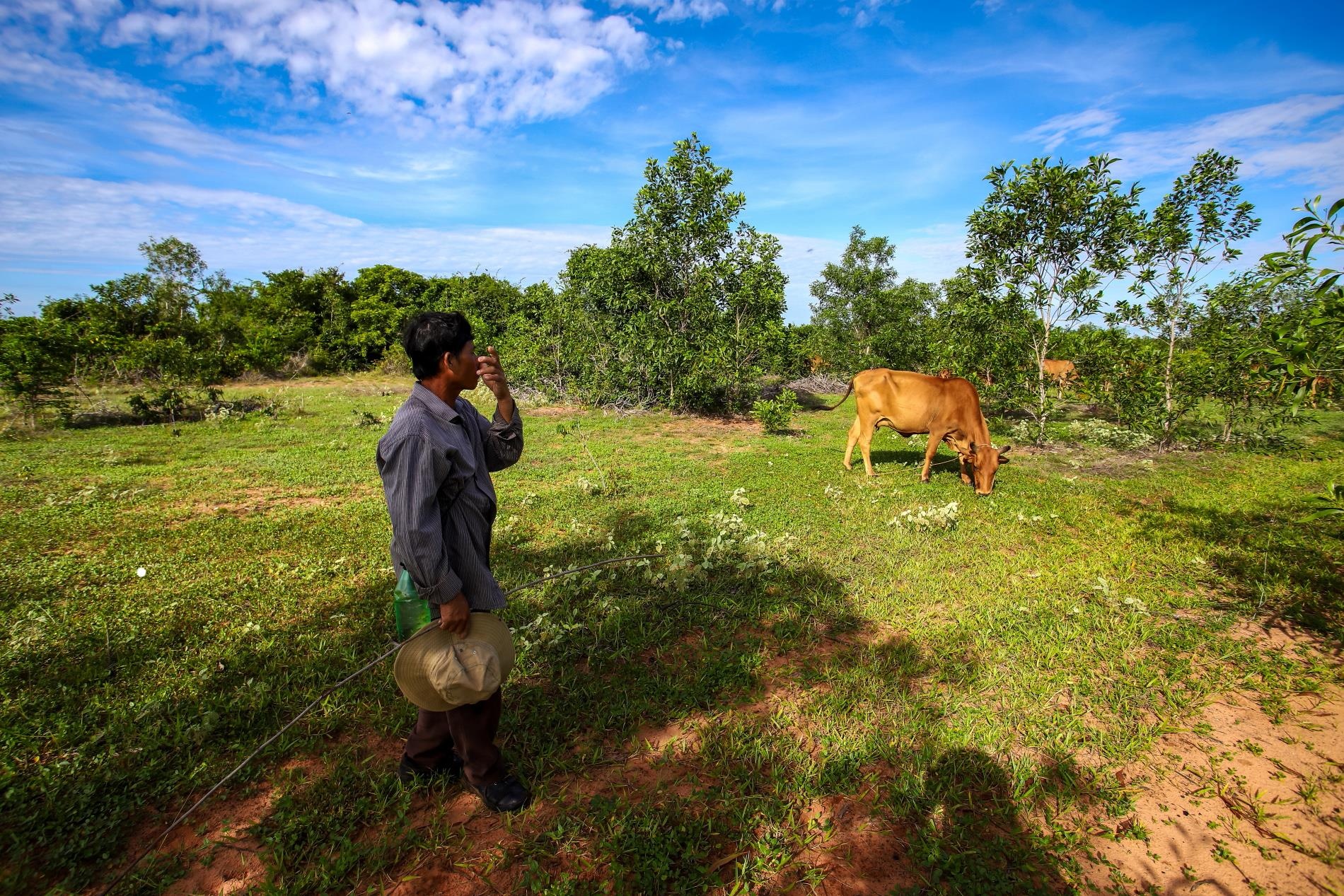 sot dat Phan Thiet anh 4