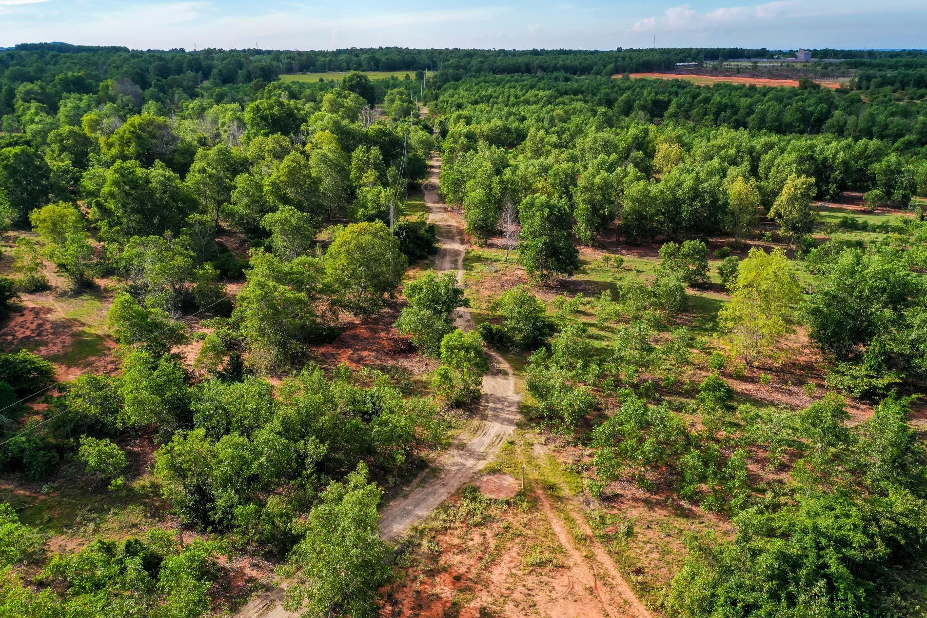 sot dat Phan Thiet anh 2