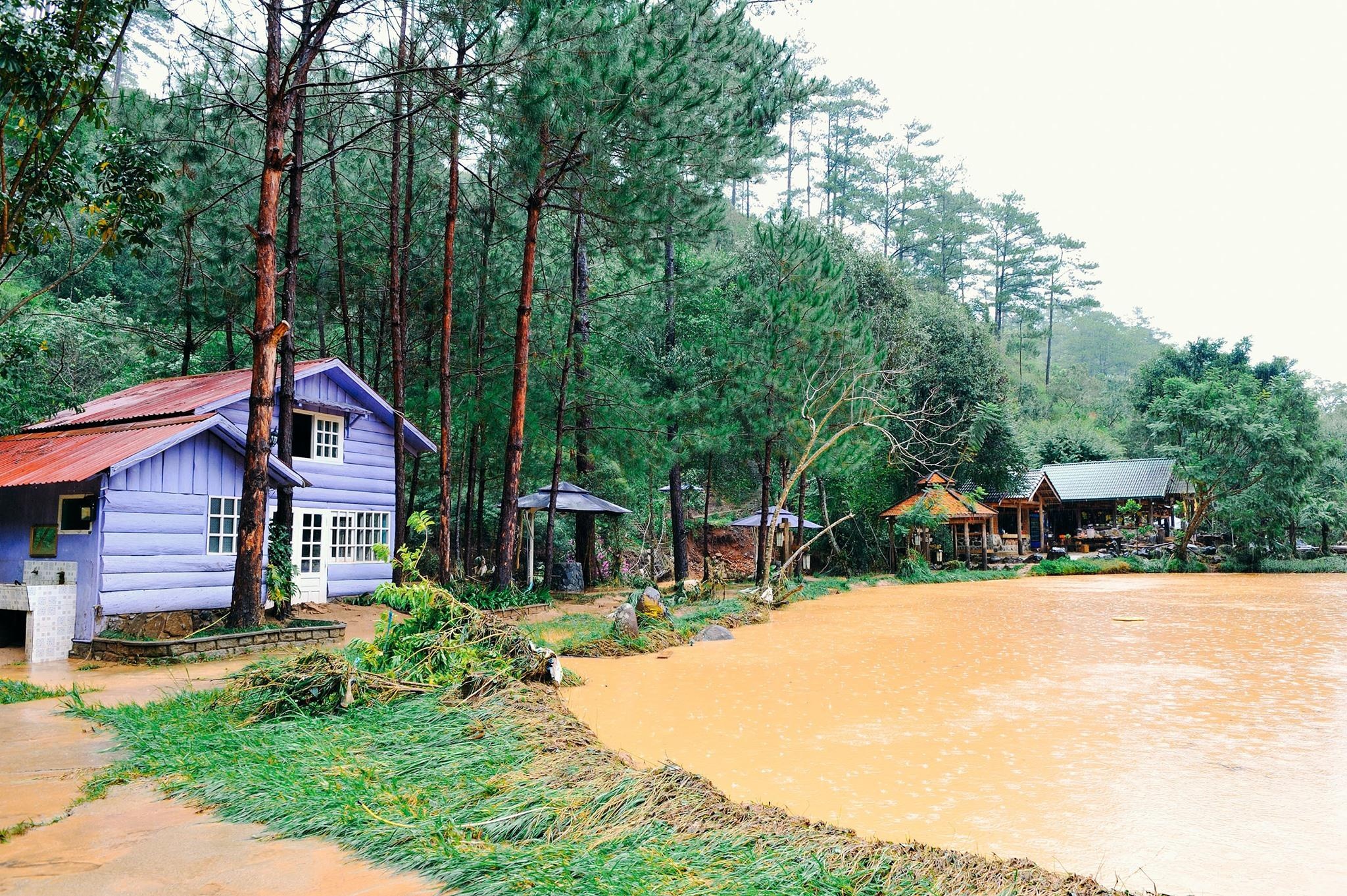 Ma Rừng Lữ Quán Đà Lạt ảnh 4 Ma Rung Lu Quan Da Lat anh 4