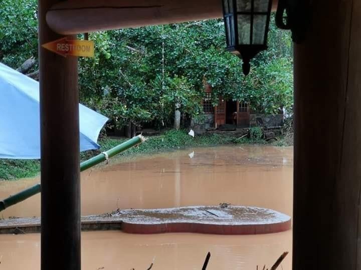 Ma Rừng Lữ Quán Đà Lạt ảnh 2 Ma Rung Lu Quan Da Lat anh 2