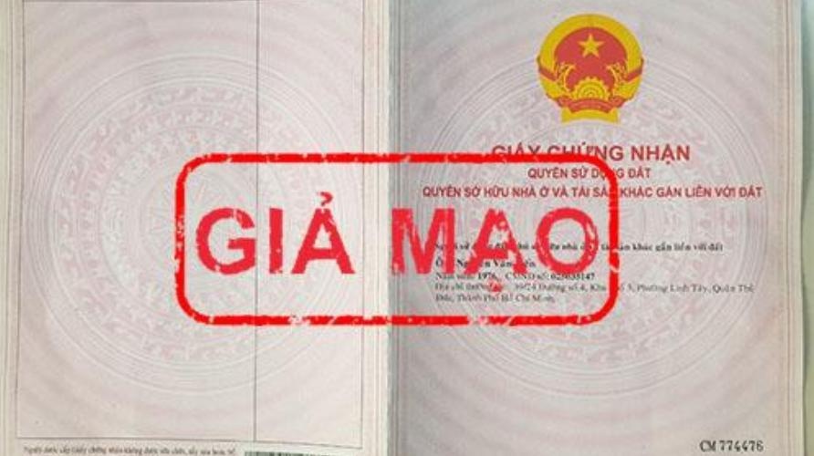 Them mot du an dat nen 'ma', lam gia so do o quan 12 hinh anh