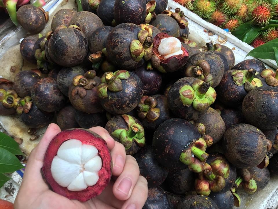 chat chem khach du lich anh 7