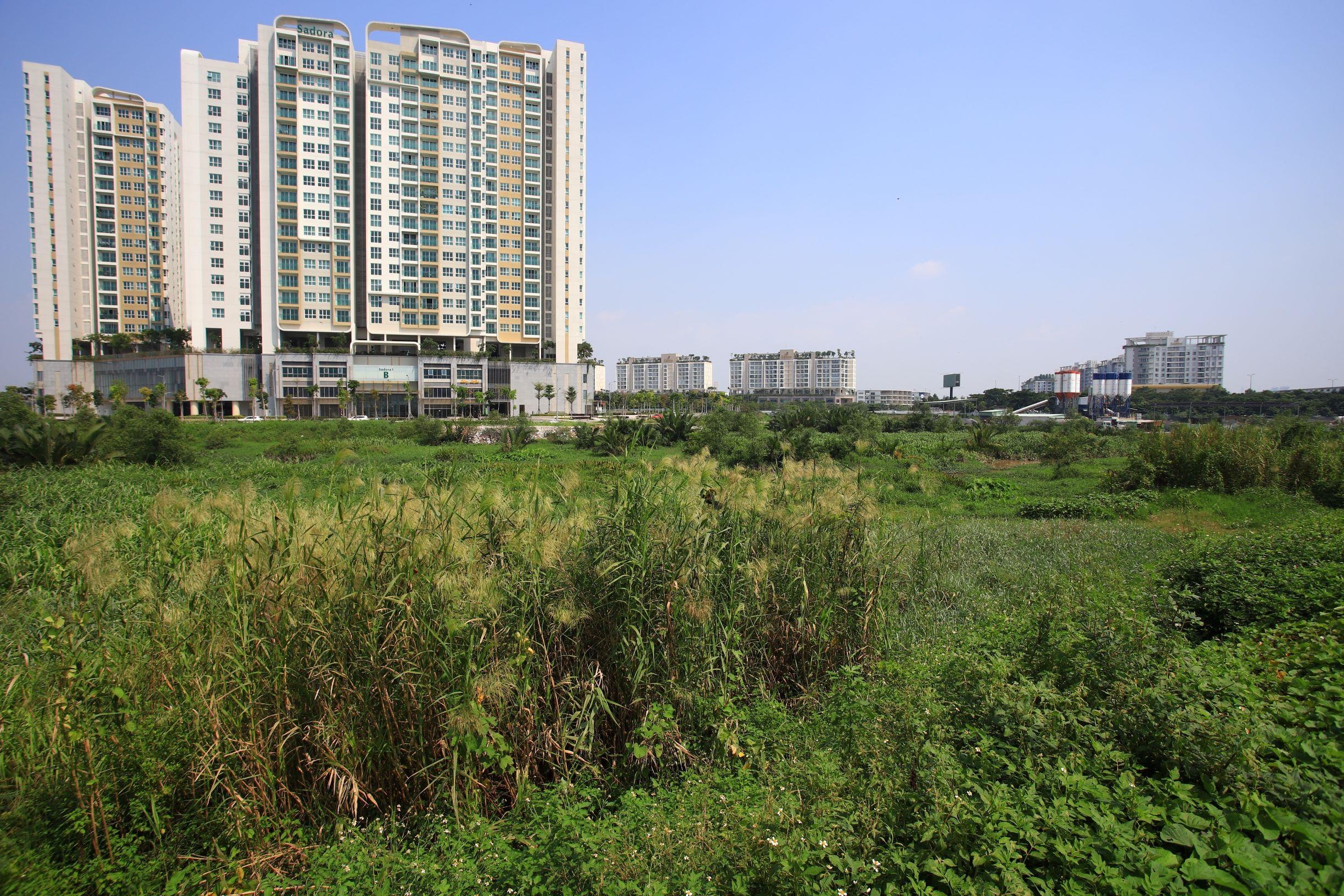 dat Thu Thiem dau gia hon 10 trieu dong/m2 anh 2