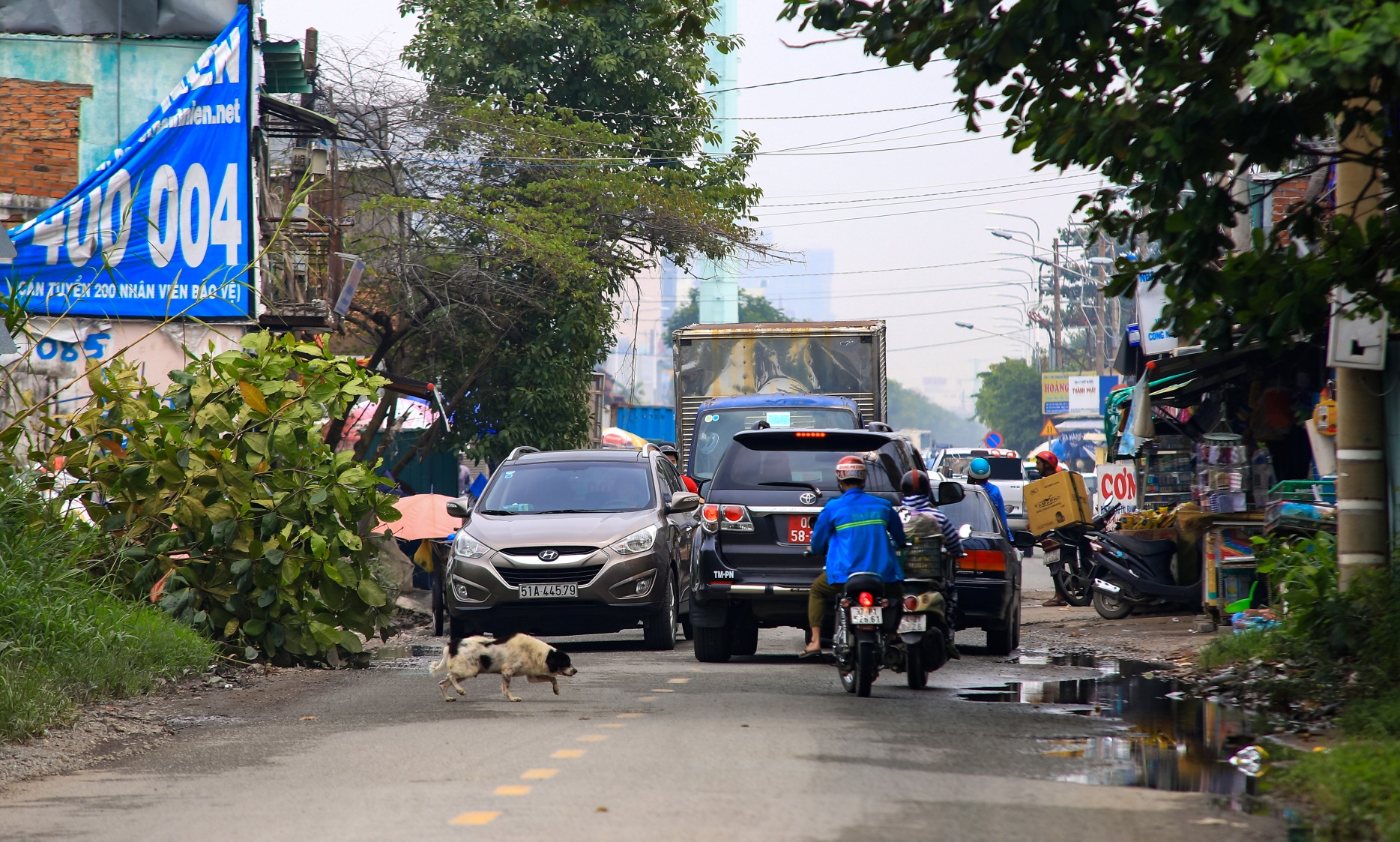 gia dat Tran Nao Luong Dinh Cua anh 7