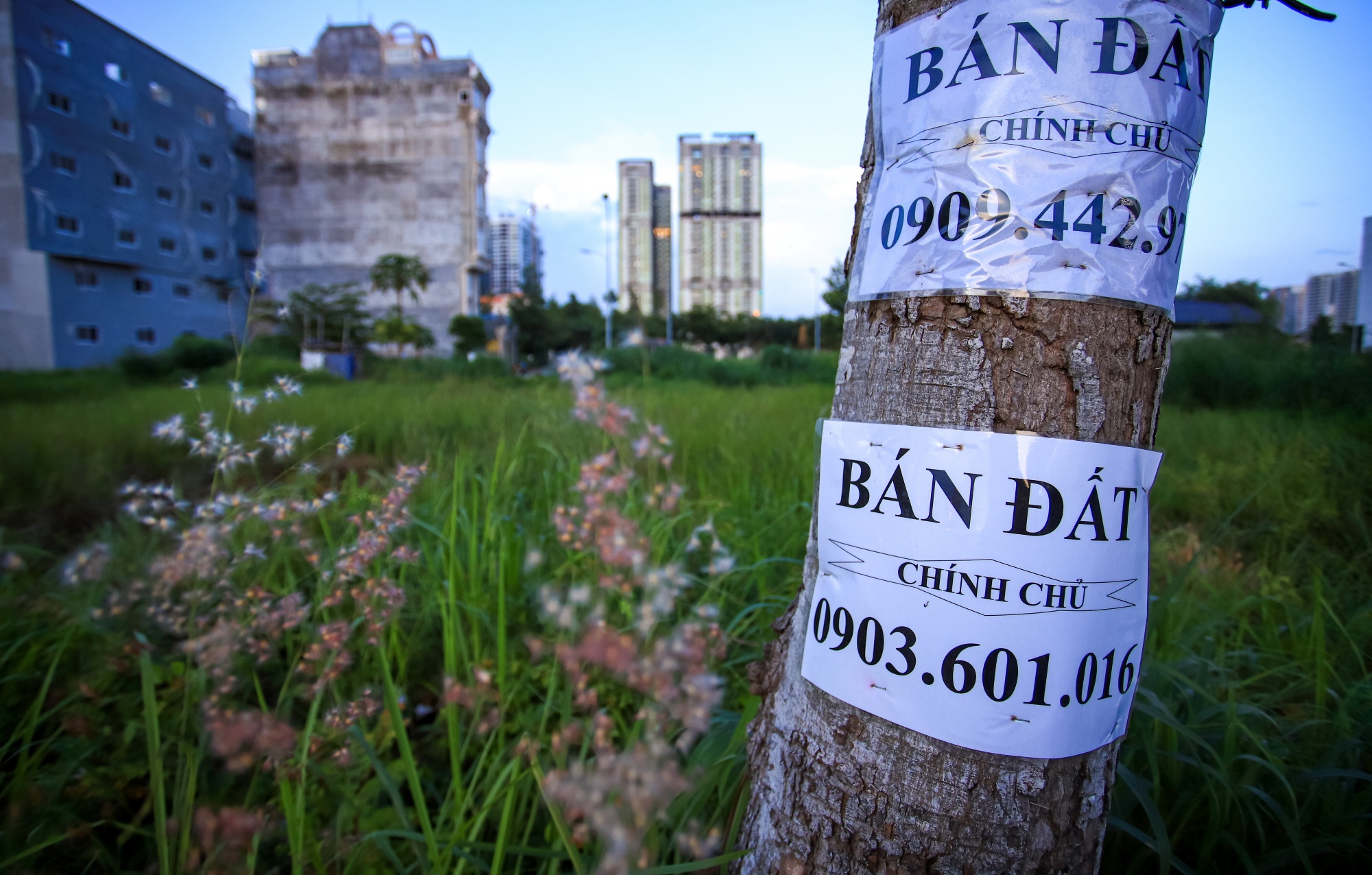 biet thu,  chung cu Thanh My Loi quan 2 anh 12