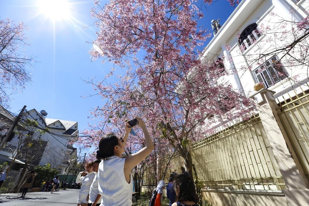 Nguoi Viet chi tieu ngay Tet anh 2