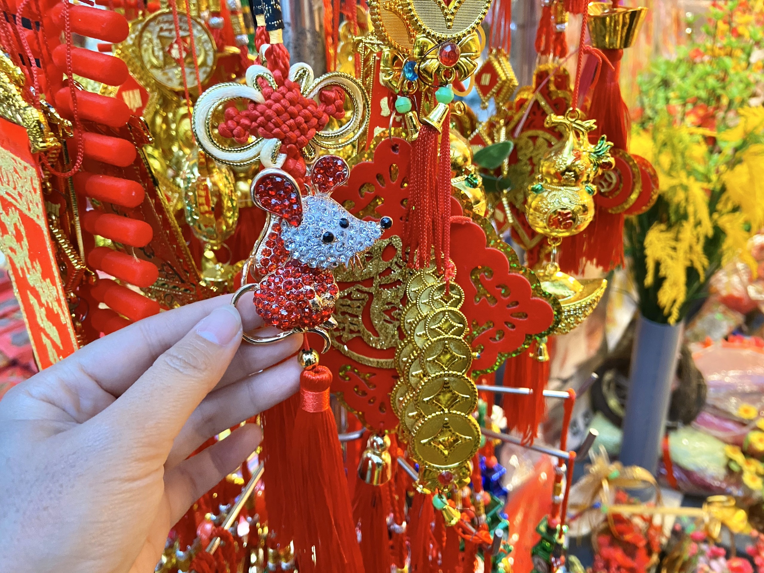 Chuot gia co bang dong gia 5 trieu tren pho Hang Ma anh 2