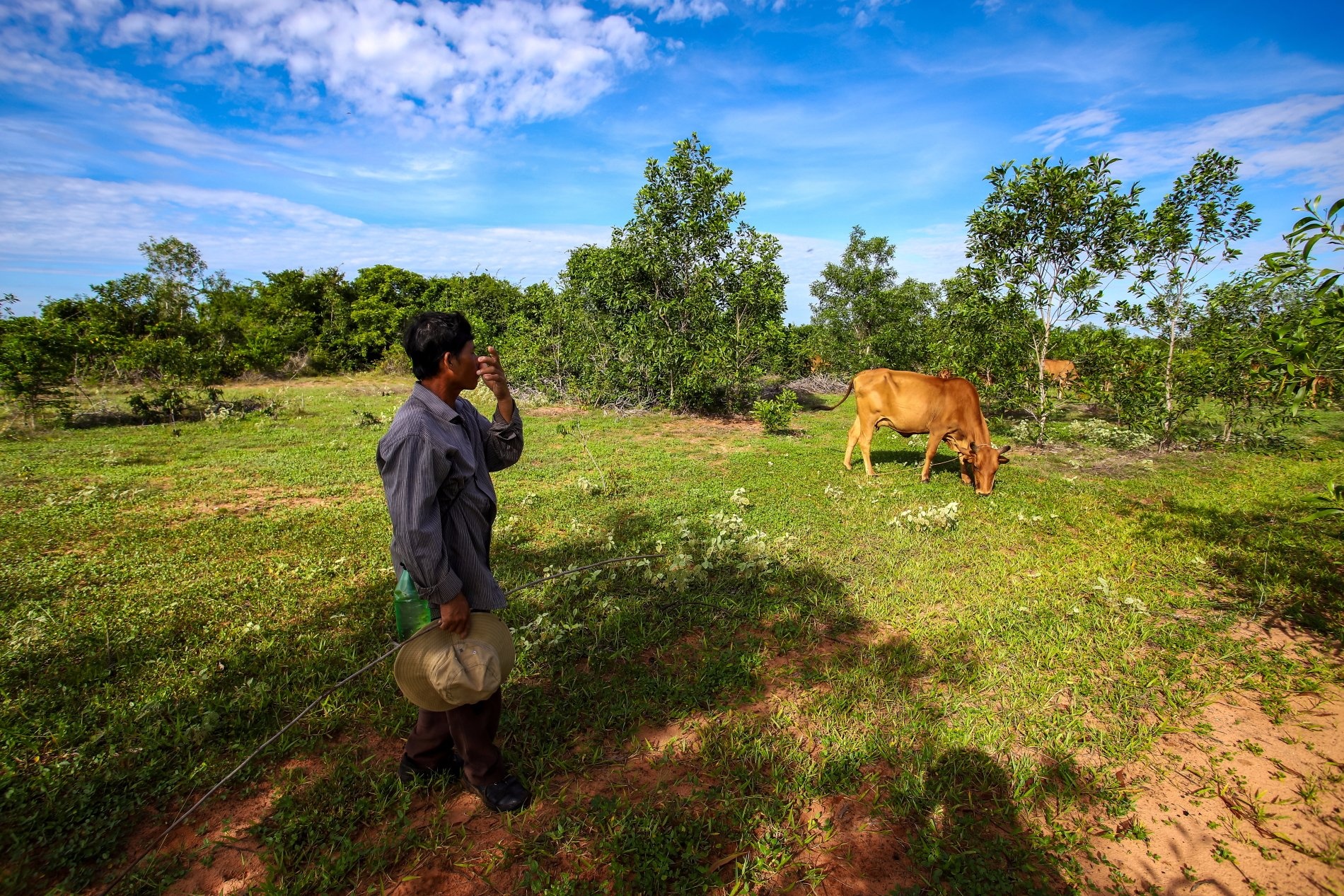 phan lo ban nen anh 1