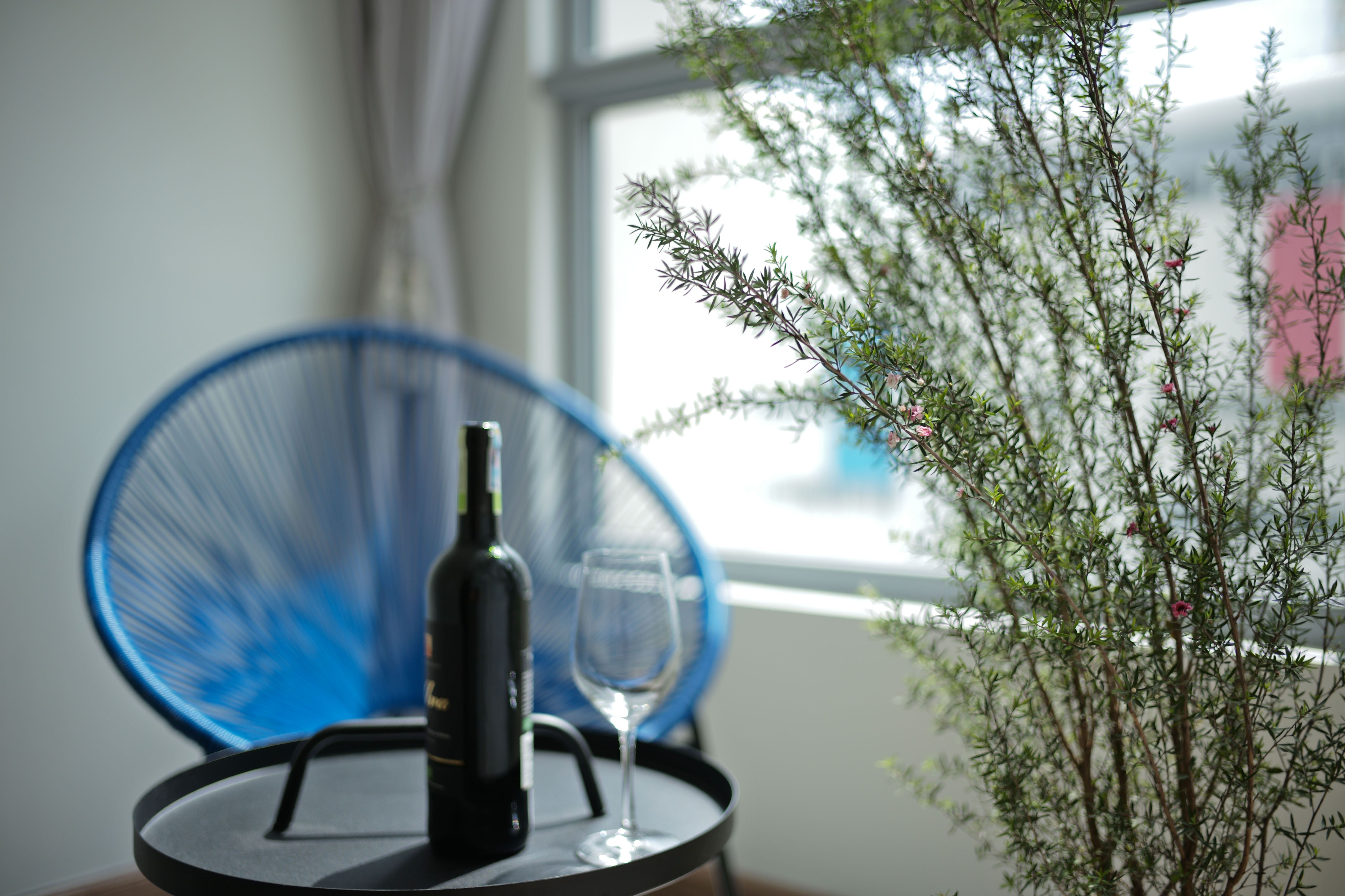 thiet ke can ho chung cu anh 12