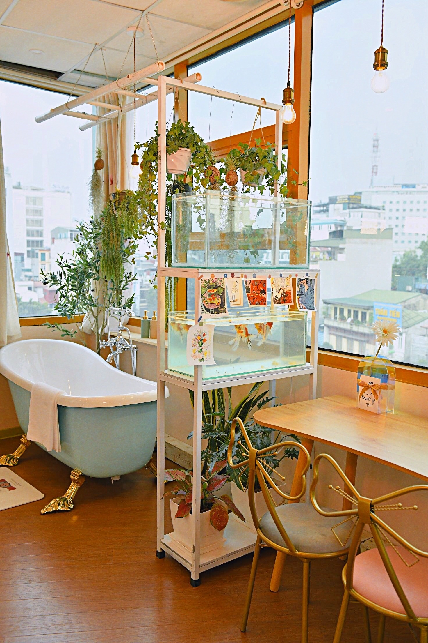 tan trang nha pho co anh 2