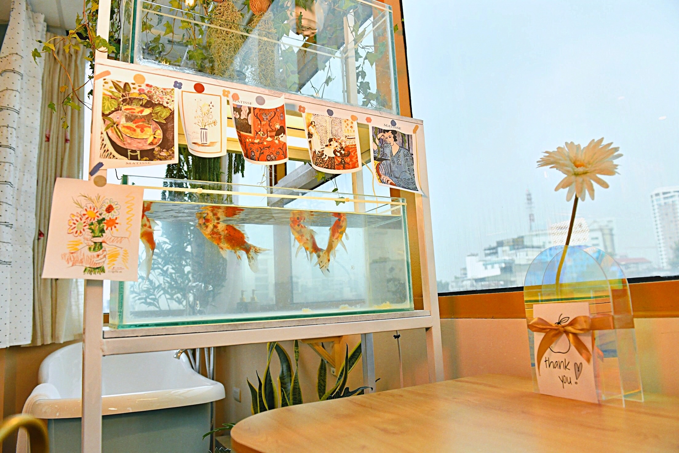 tan trang nha pho co anh 6