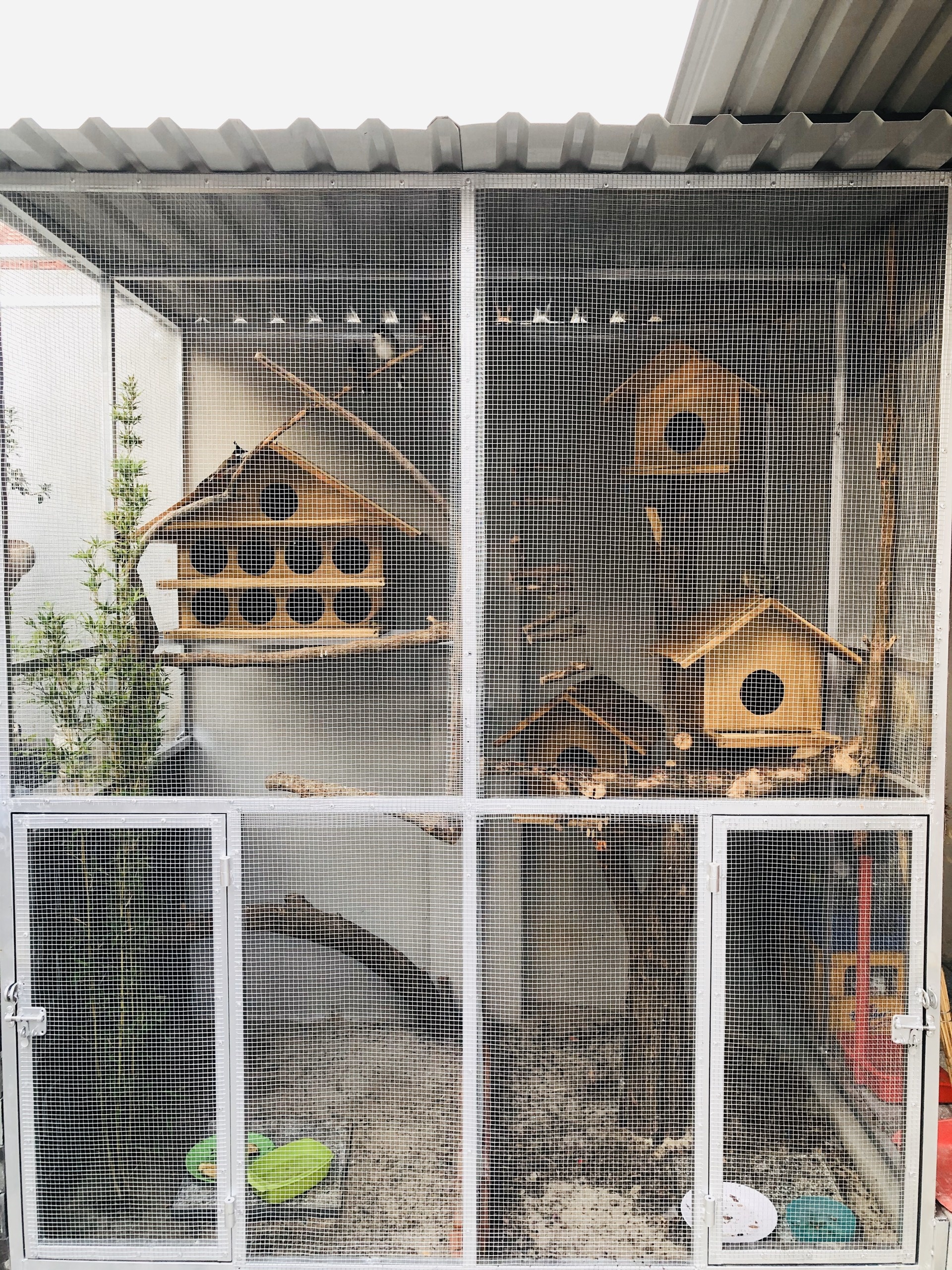 kien truc su xay nha anh 9