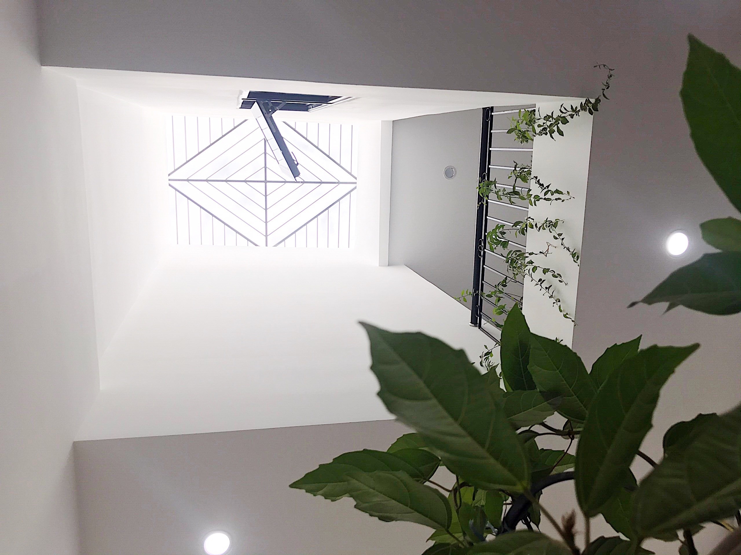 thiet ke nha san vuon, anh 5