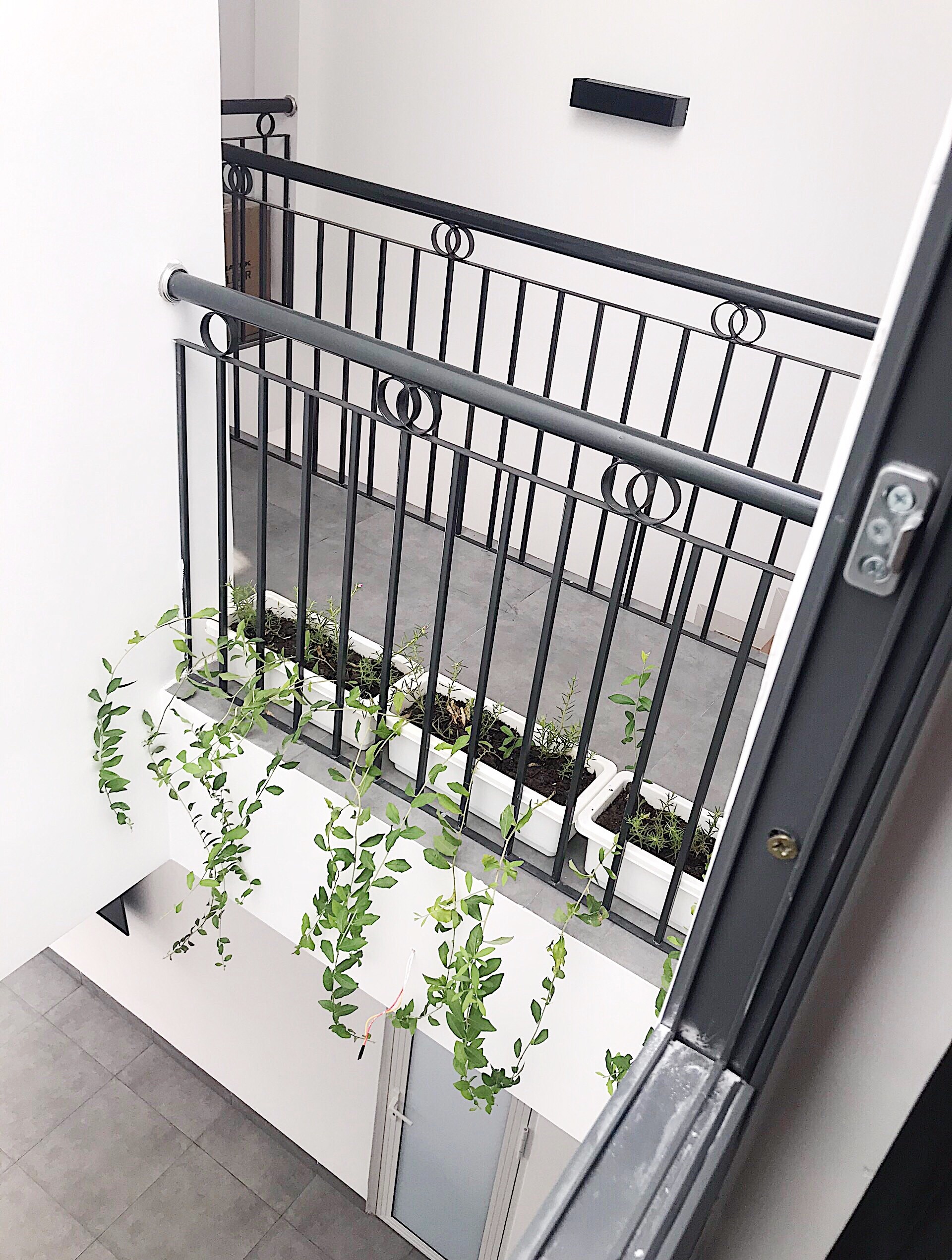 thiet ke nha san vuon, anh 8