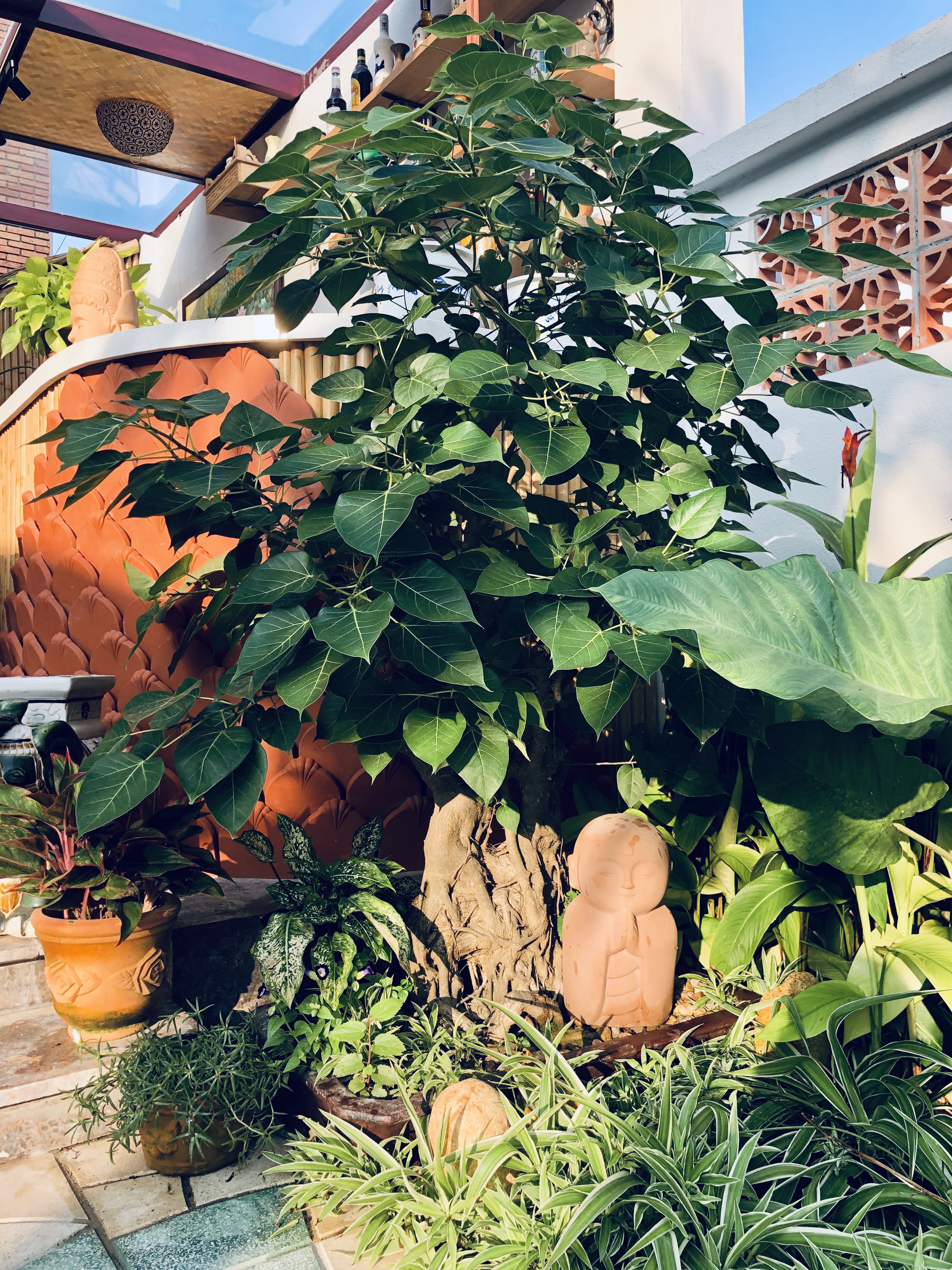 can nha an nhien hoi an, anh 5