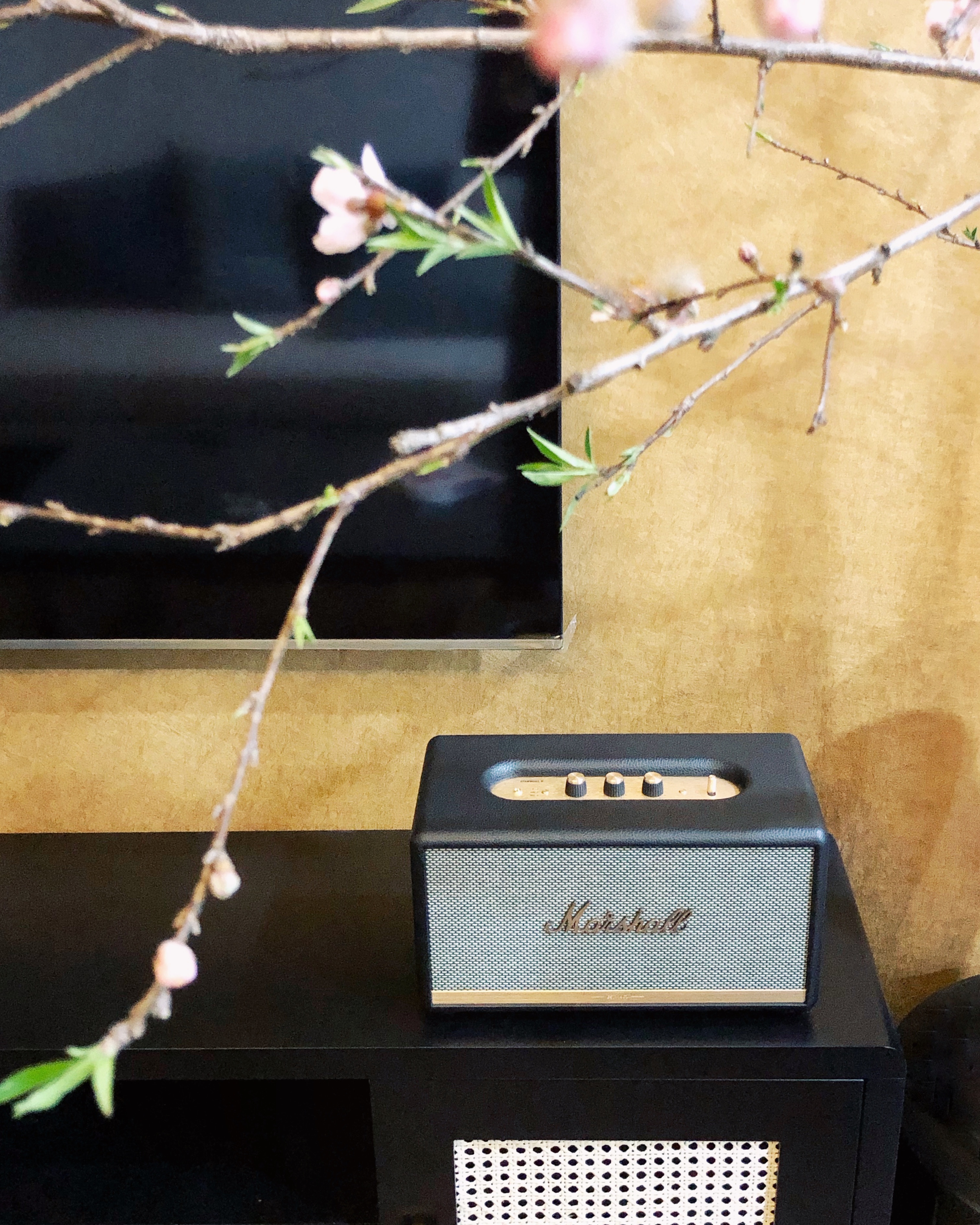 thiet ke can ho Dong Duong, anh 7