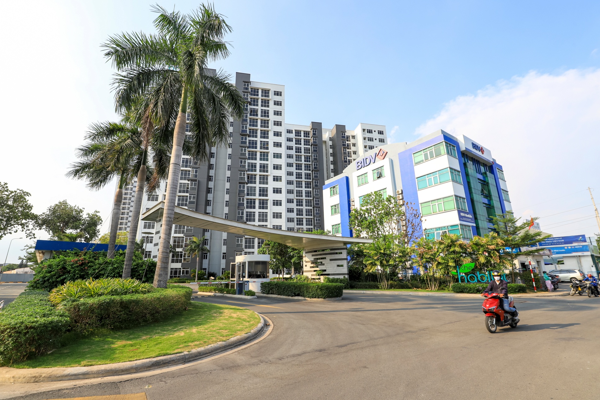 Dai gia dia oc do ve Binh Duong hinh anh