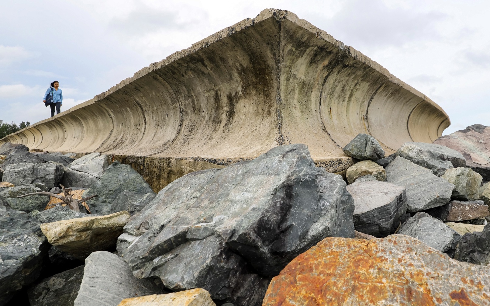 Can canh du an lan bien Can Gio sau 13 nam bat dong hinh anh