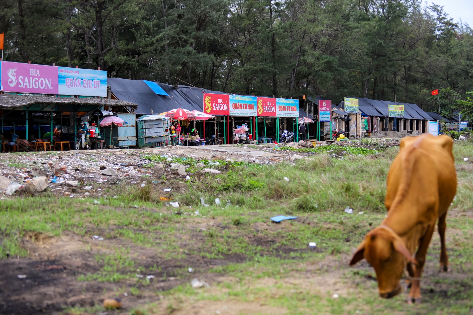 du an lan bien Can Gio anh 11