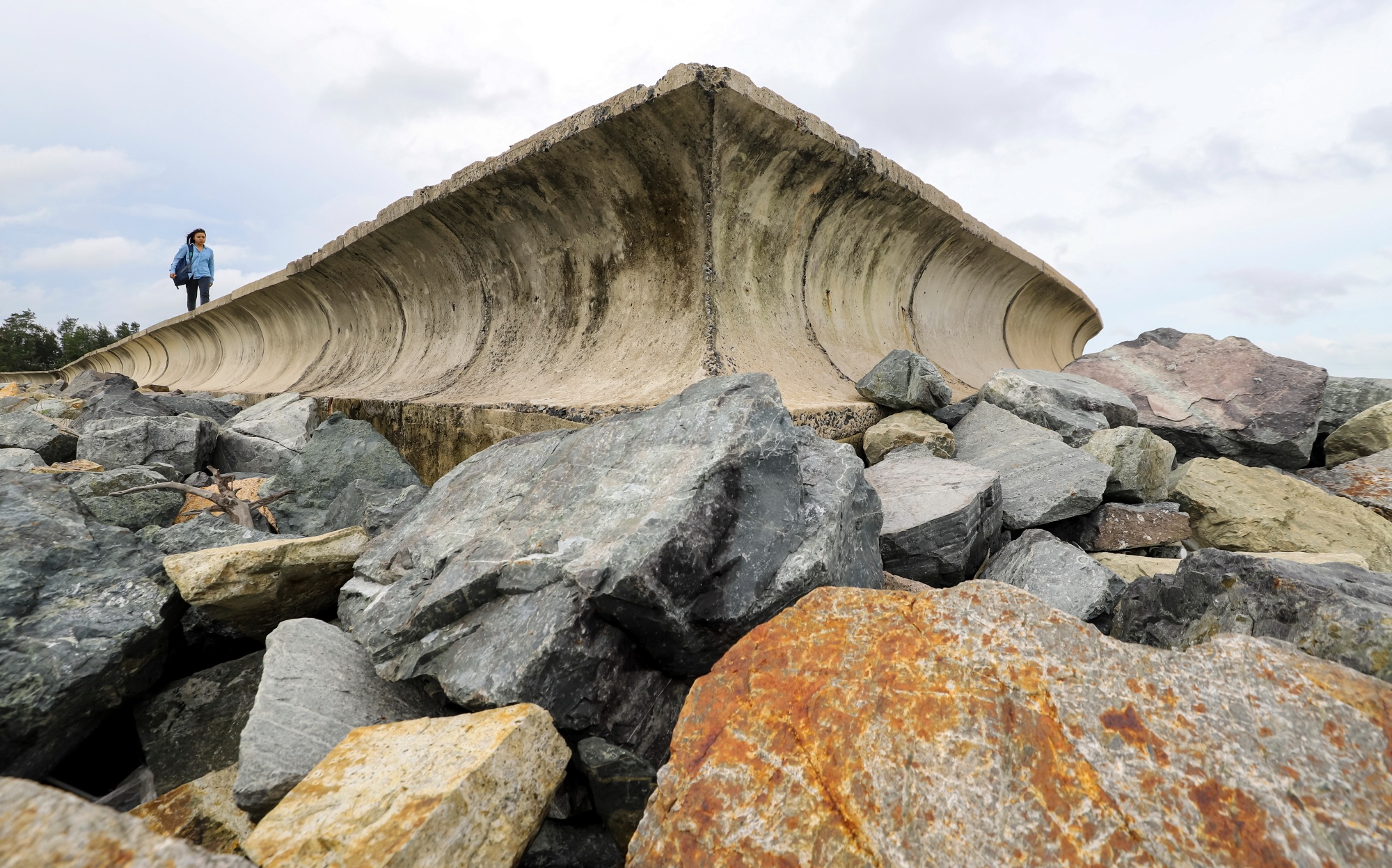 du an lan bien Can Gio anh 6