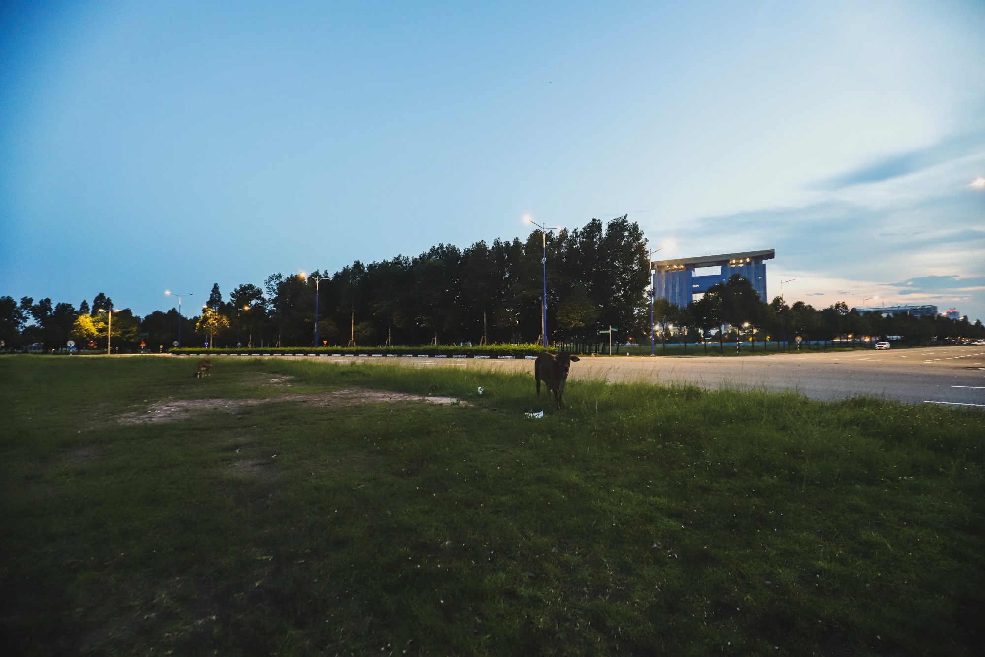 Thanh pho moi Binh Duong anh 15