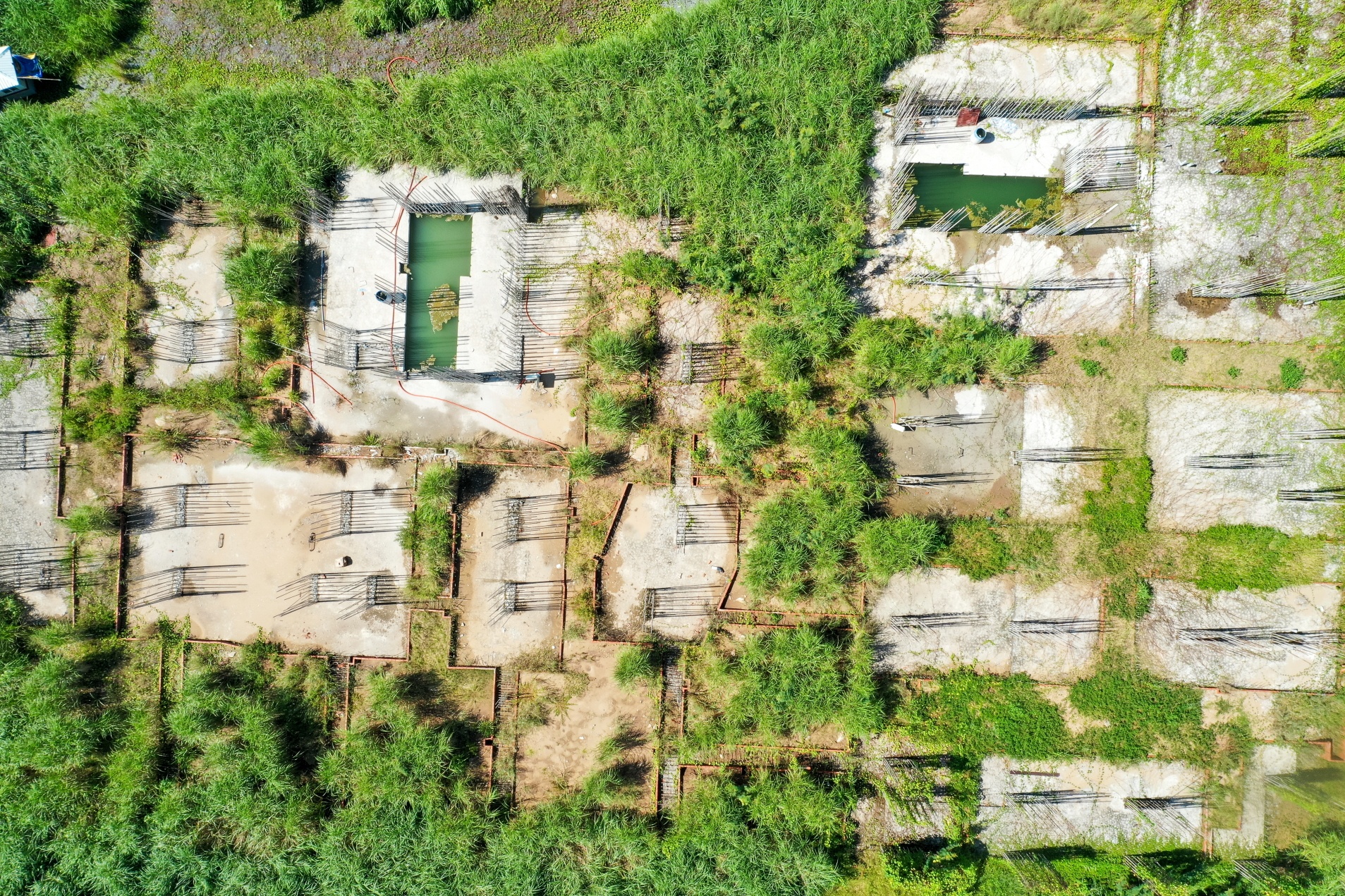 Du an bo hoang tai TP Thu Duc anh 3