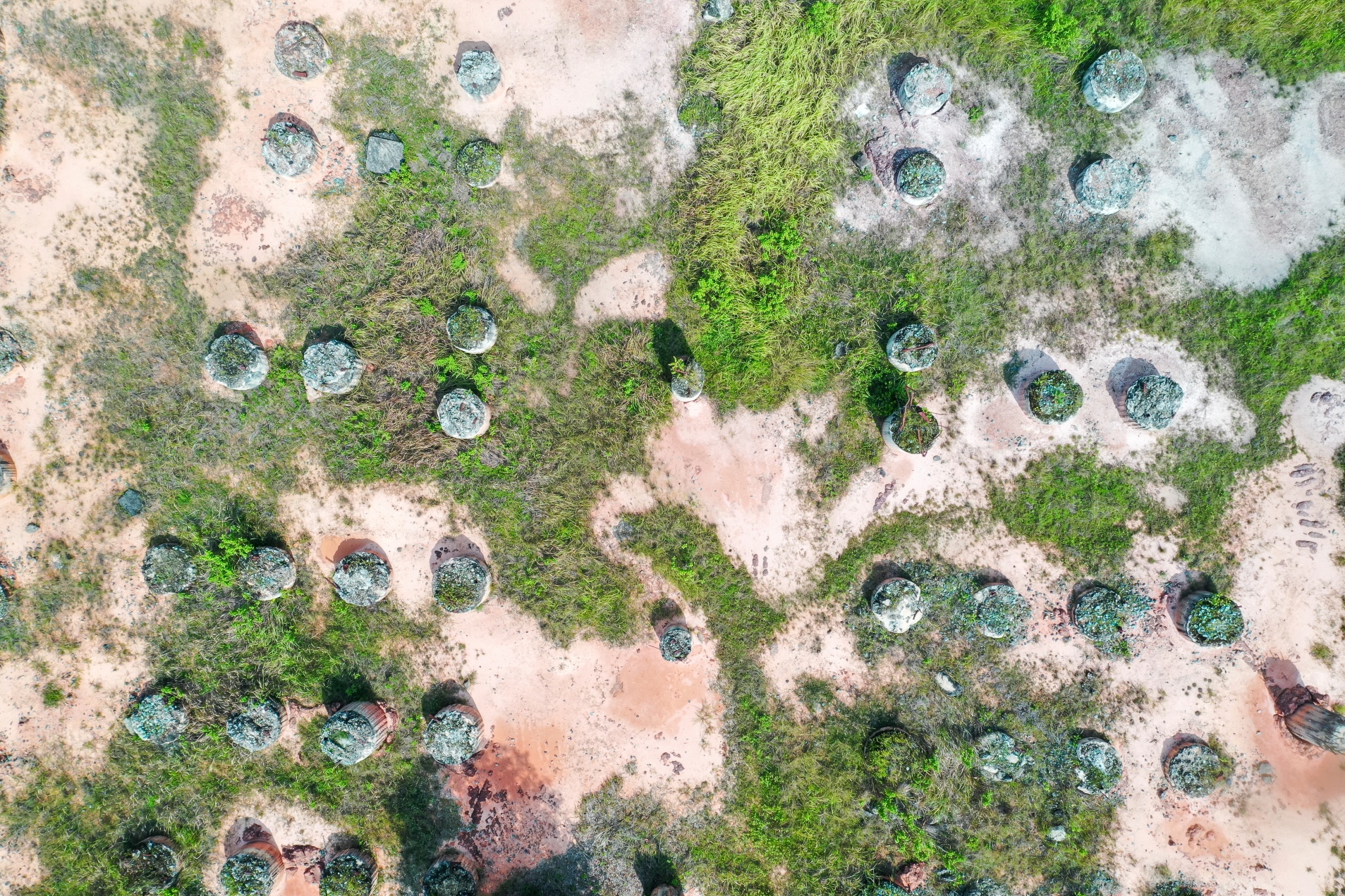 Du an bo hoang tai TP Thu Duc anh 11