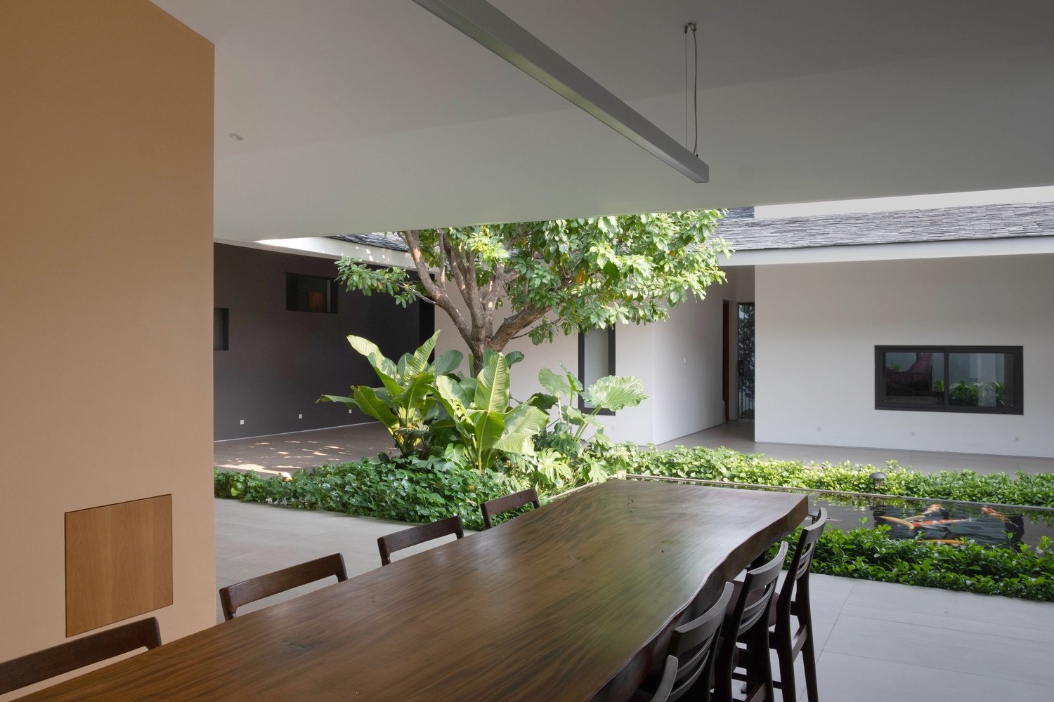 nha san vuon nhieu cay xanh TP.HCM anh 6