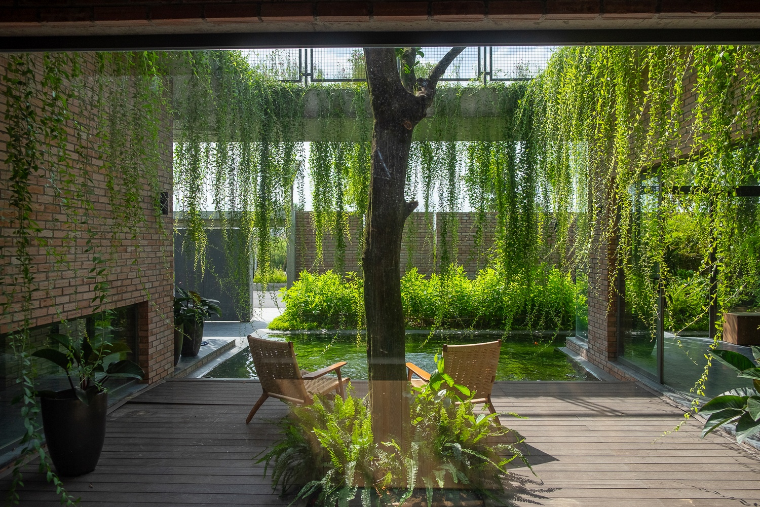 nha vuon do thi nhieu cay xanh anh 12