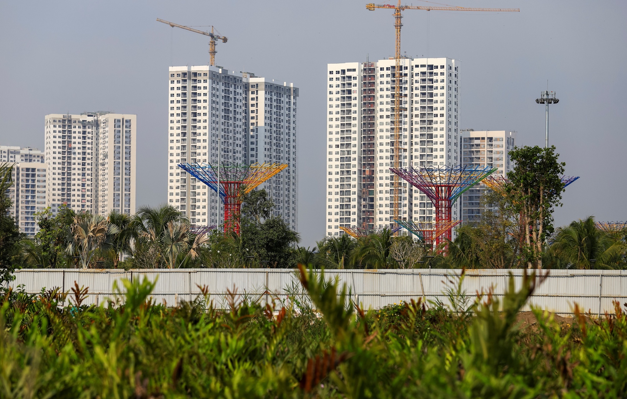 Gia mo ban can ho o TP.HCM tiep tuc tang hinh anh