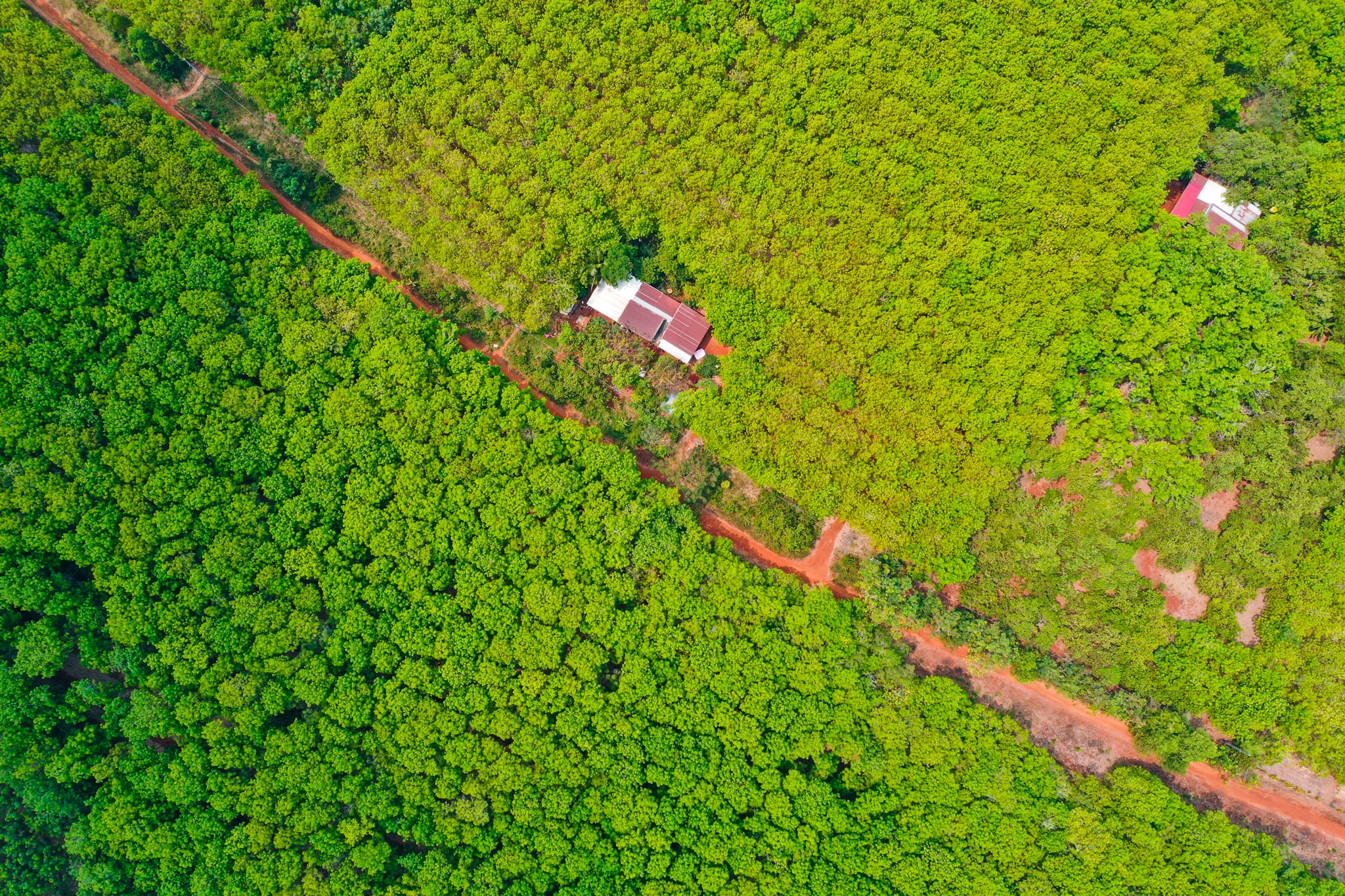 sot dat san bay Tec Nich anh 2