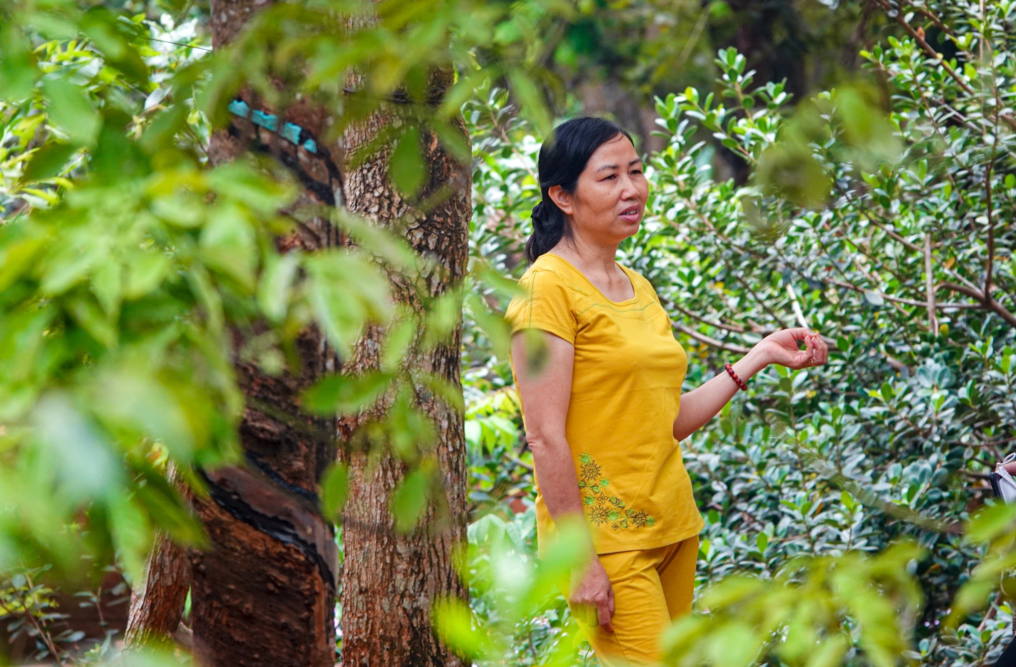 sot dat san bay Tec Nich anh 3