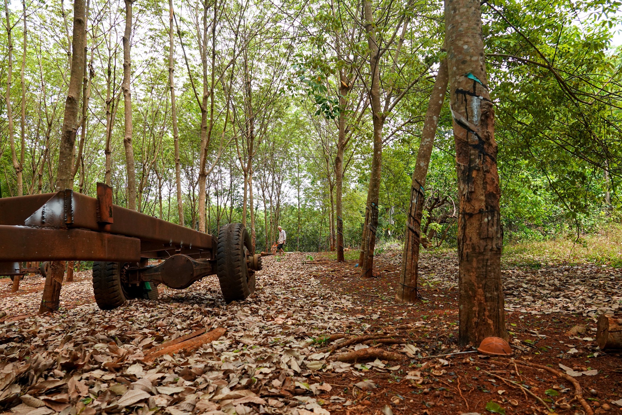 mua ban dat quanh san bay Tec Nich Binh Phuoc anh 4