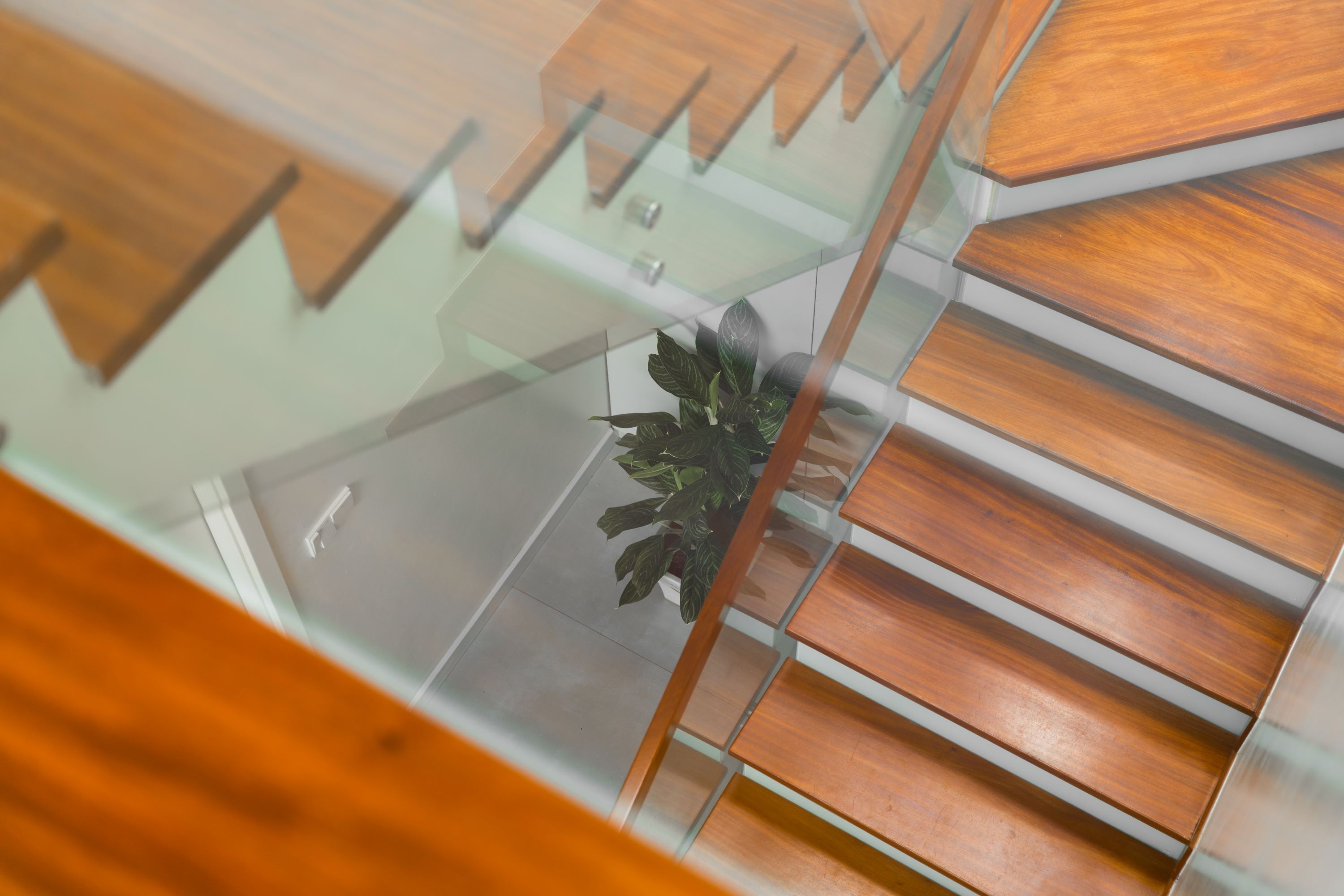 thiet ke villa san vuon anh 8