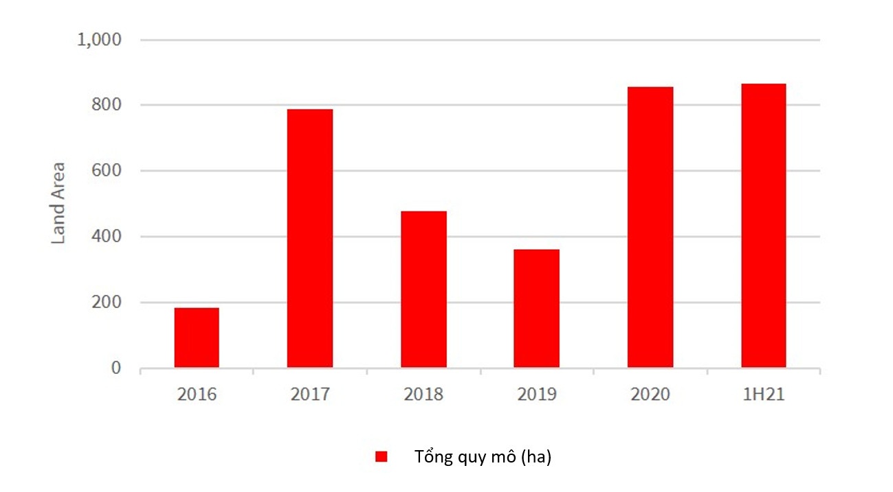 Cuoc dua san quy dat cua cac chu dau tu anh 1